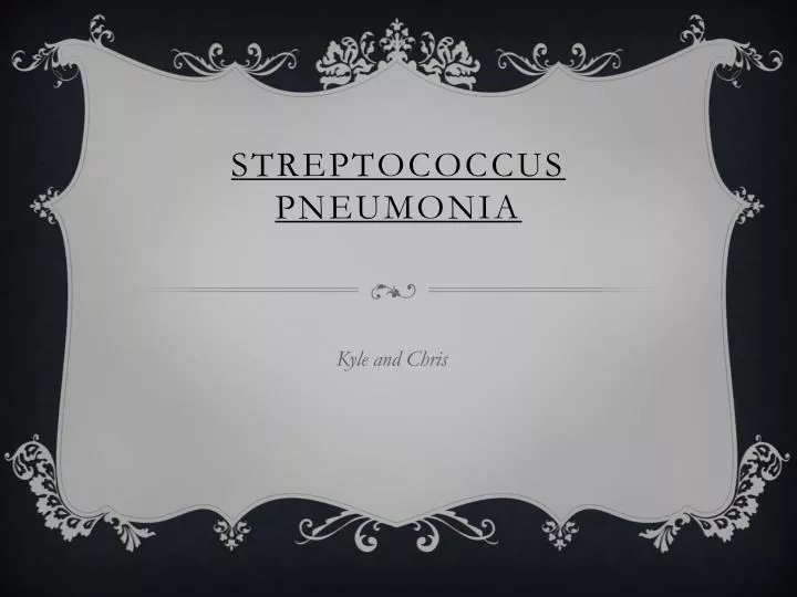 streptococcus pneumonia