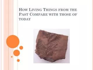 How Living Things from the Past Compare with those of today