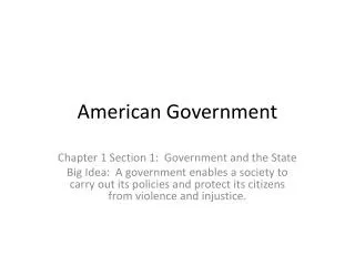 american government