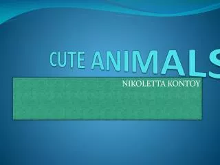 CUTE ANIMALS