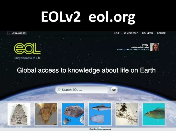 eolv2 eol org