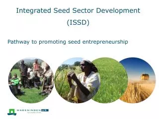 Integrated Seed Sector Development (ISSD)