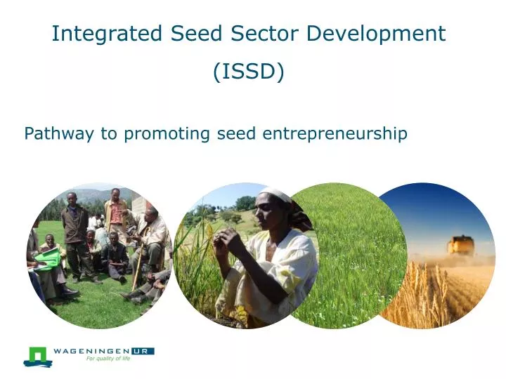integrated seed sector development issd