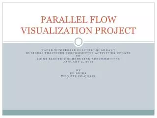 PARALLEL FLOW VISUALIZATION PROJECT