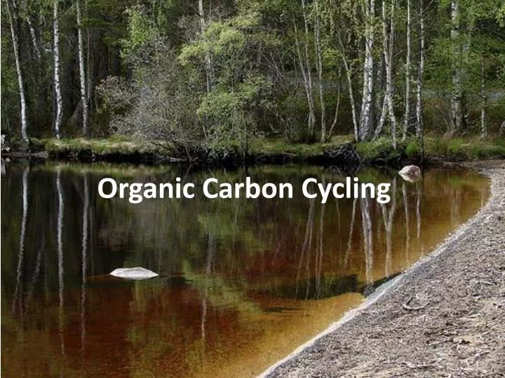organic carbon cycling