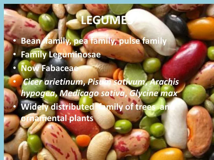 legumes
