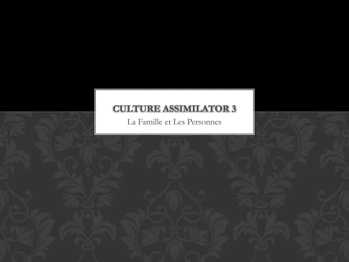culture assimilator 3