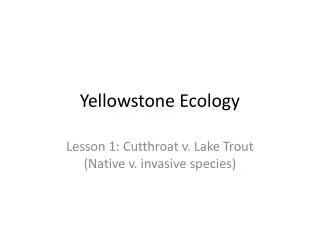Yellowstone Ecology