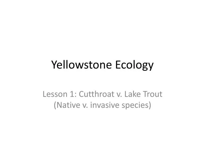 yellowstone ecology