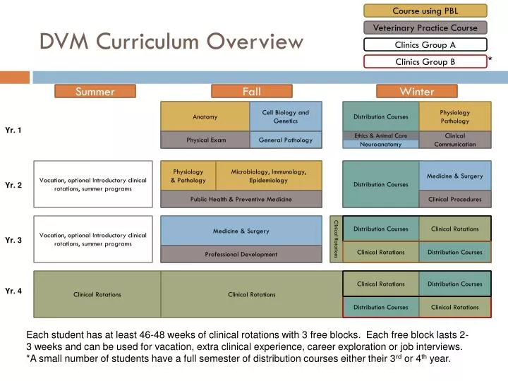 dvm curriculum overview