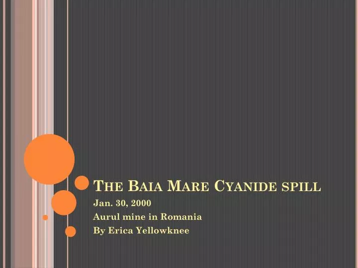 the baia mare cyanide spill