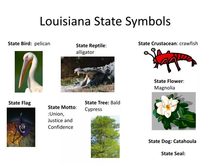 PPT - Louisiana State Symbols PowerPoint Presentation, free download -  ID:2851123