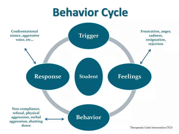 behavior cycle