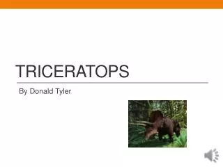 Triceratops