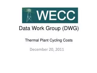 Data Work Group (DWG) Thermal Plant Cycling Costs