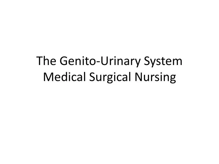 the genito urinary system medical surgical nursing