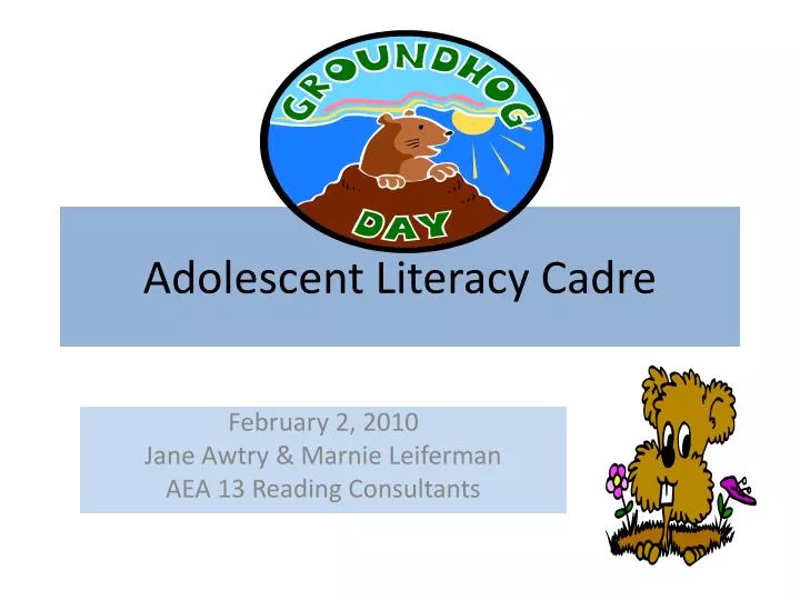 adolescent literacy cadre