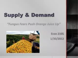 Supply &amp; Demand