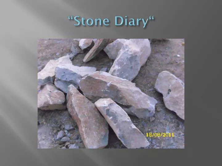 stone diary