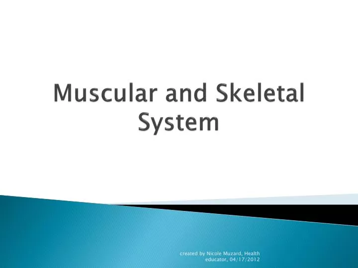 muscular and skeletal system
