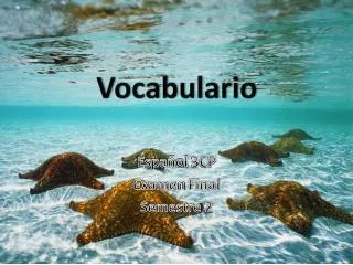 vocabulario