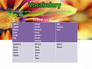 Vocabulary