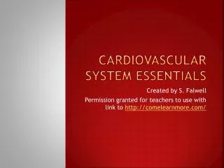 Cardiovascular System Essentials