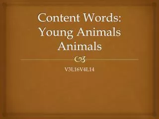Content Words: Young Animals Animals