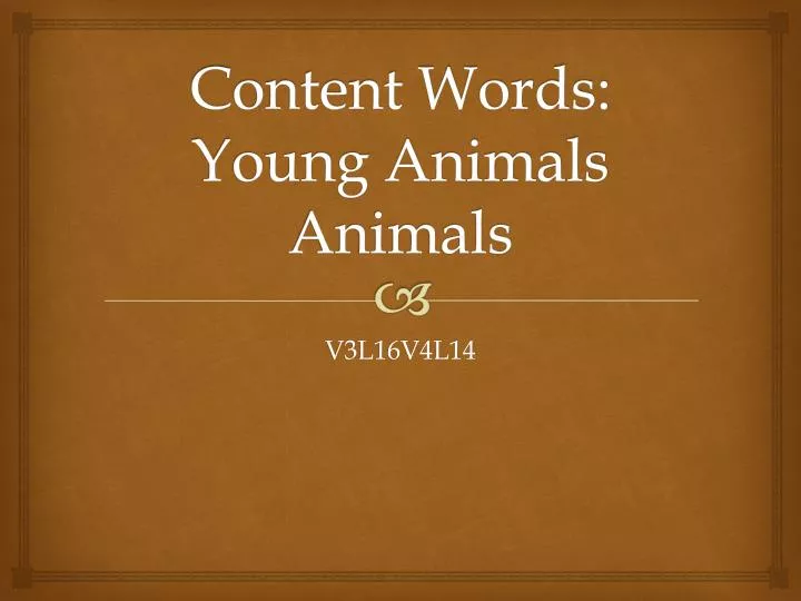 content words young animals animals