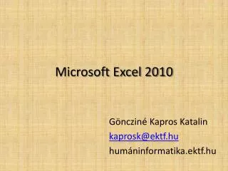microsoft excel 2010