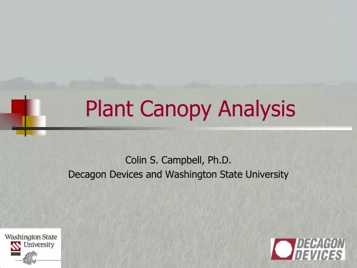 plant canopy analysis