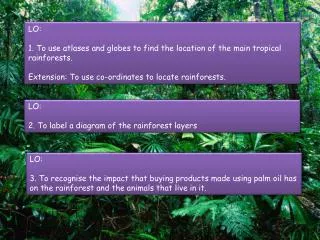 LO: 1. To use atlases and globes to find the location of the main tropical rainforests.