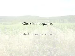 chez l es copains