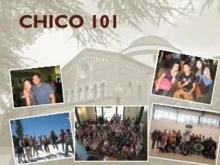 chico 101