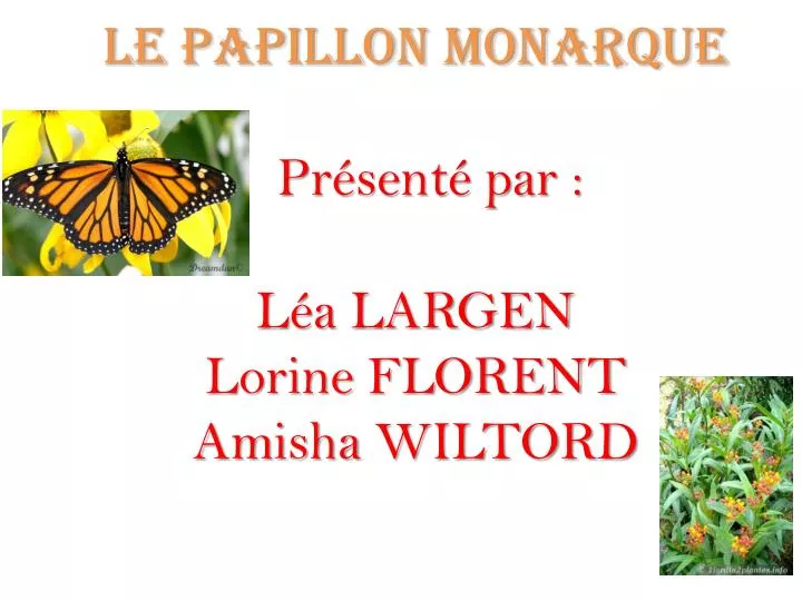 le papillon monarque pr sent par l a largen lorine florent amisha wiltord
