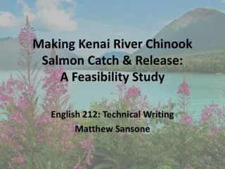 Making Kenai River Chinook Salmon Catch &amp; Release: A Feasibility Study