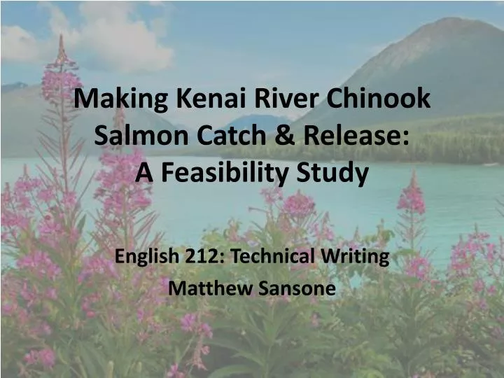 making kenai river chinook salmon catch release a feasibility study