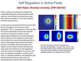 Self Regulation in Active Fluids
