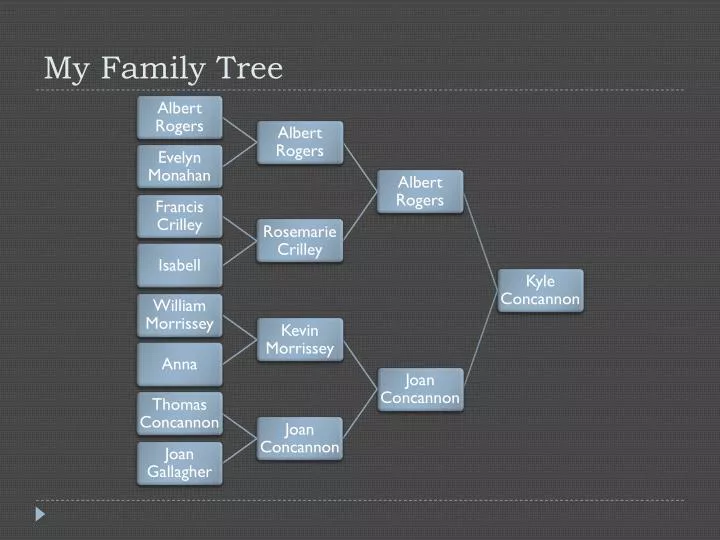 my family tree