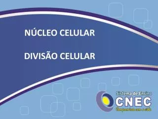 n cleo celular divis o celular