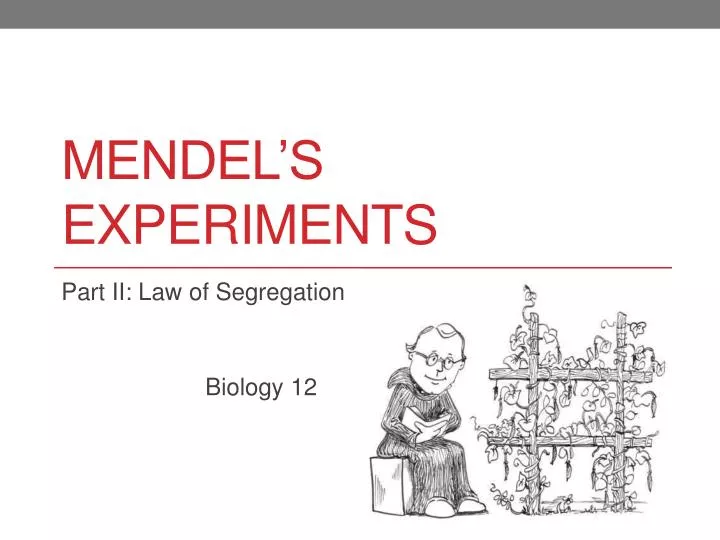 mendel s experiments