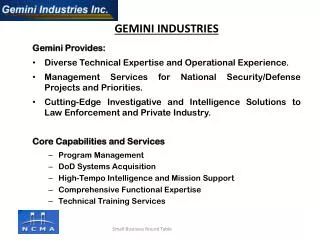 Gemini Provides: Diverse Technical Expertise and Operational Experience.