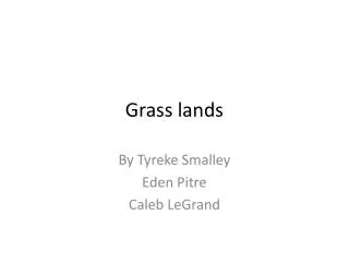 Grass lands