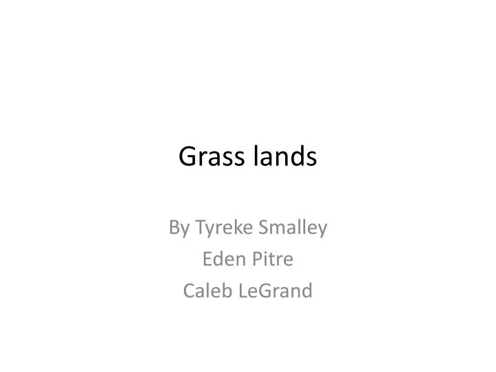 grass lands
