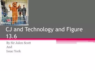 CJ and Technology and Figure 13.6