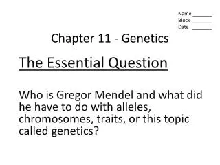 chapter 11 genetics