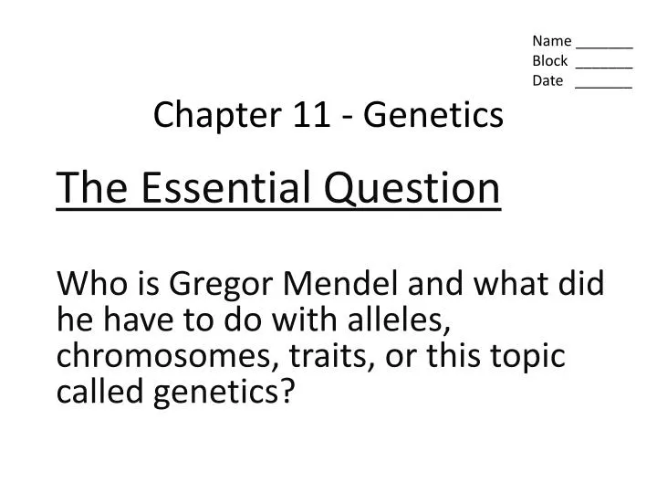 chapter 11 genetics