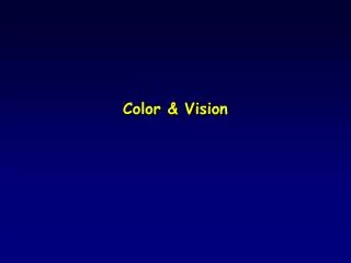 Color &amp; Vision