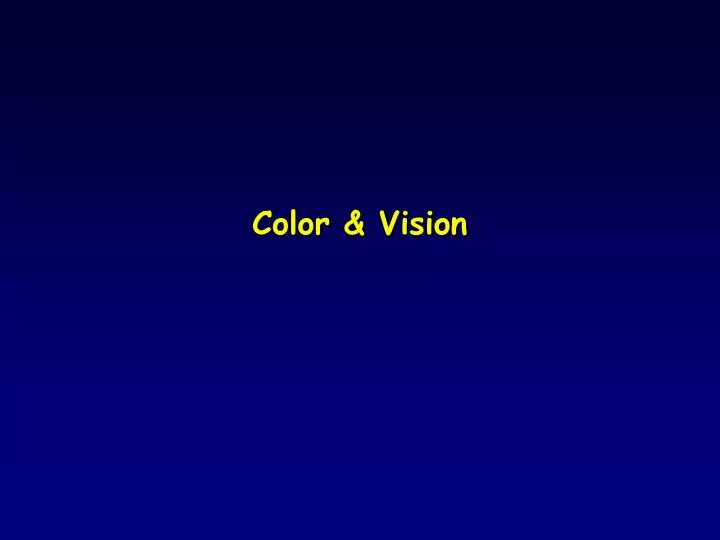 color vision