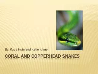 Coral and copperhead snakes